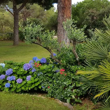 Acaladoro En Villa Porto-Vecchio (Corsica)